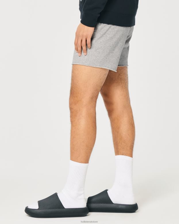 Bottoms Hollister Men Terry Fleece Logo Shorts 5\\ 488201140 Heather Grey